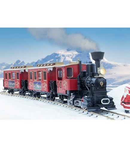 Amazon.com: LGB 19901 Siding Track Set : Arts, Crafts & Sewing